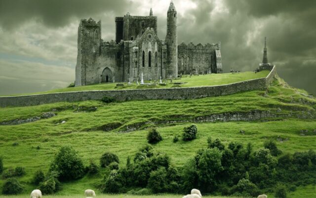 Upcoming Citizenship Ceremonies in Ireland – December 2025